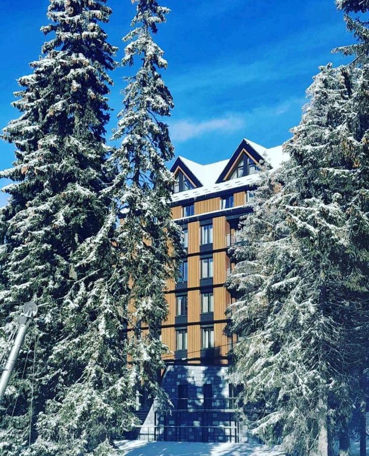 Apartment Woodside 315 Kopaonik